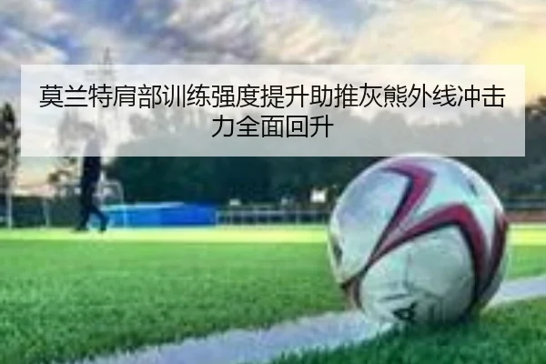 莫兰特肩部训练强度提升助推灰熊外线冲击力全面回升